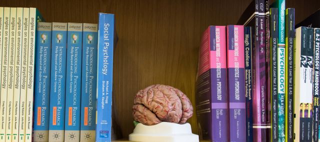 أزمة العلوم الاجتماعية المعاصرة كأزمة في الرأسمالية