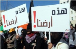 برافر: لا فراشات حول البلدوزر