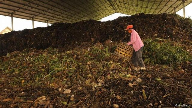 تحويل النفايات العضوية إلى سماد طبيعي بحلب