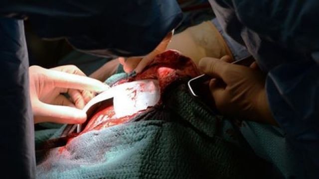 أخبار العلم