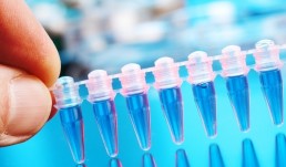 مشروع &laquo;فاريوم&raquo;: الأمراض إذ تسير على خطى الجينوم