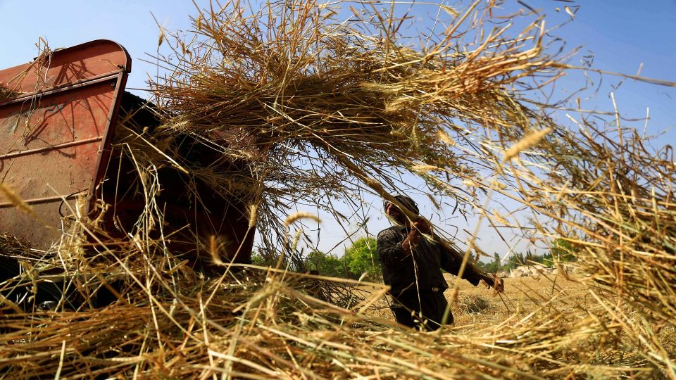 الزراعة... الواقع بوادٍ ونشاط الحكومة الإعلامي بوادٍ آخر