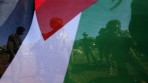 البرلمان الإيرلندي يعترف بدولة فلسطين