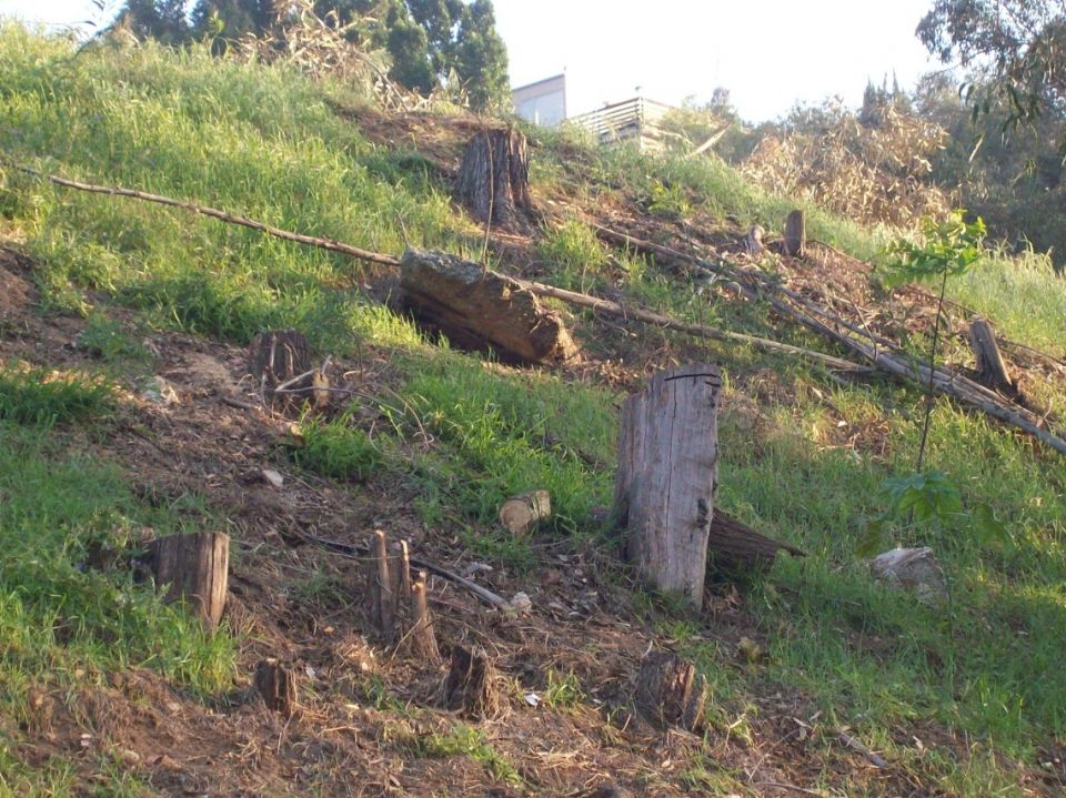 الواقع الراهن للبيئة