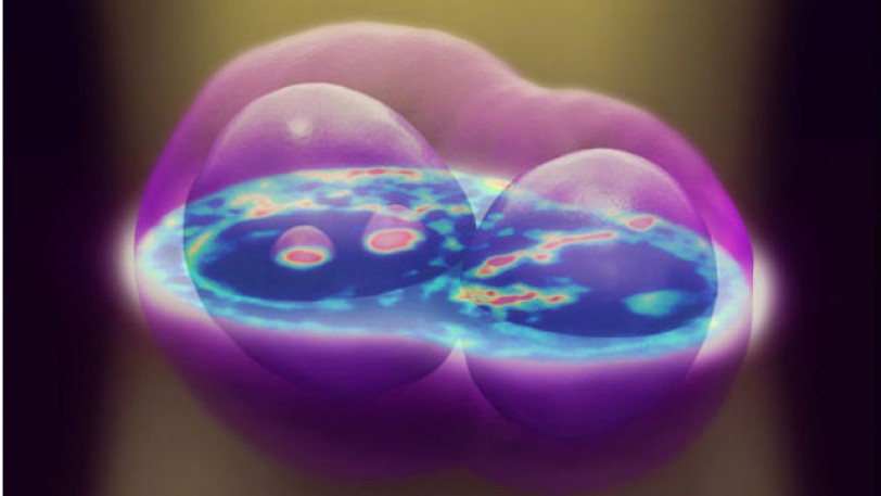 تقنية جديدة تتيح رؤية الخلية الحية من الداخل