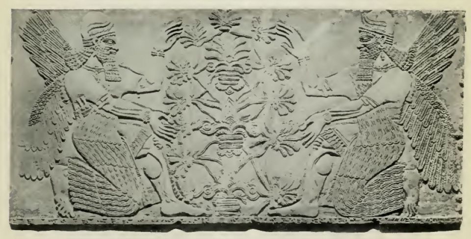 المعارف الطبية ما بين النهرين