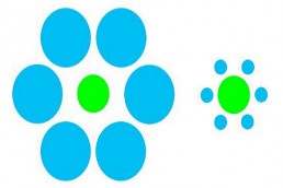 الخدع البصرية تكشف سمات مشتركة بين عقول البشر والأسماك
