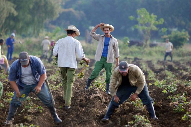 الوصفة الكوبيّة السهلة لهزيمة العقوبات الأمريكية: الشعب أولاً..