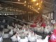 «حبر على الورق»