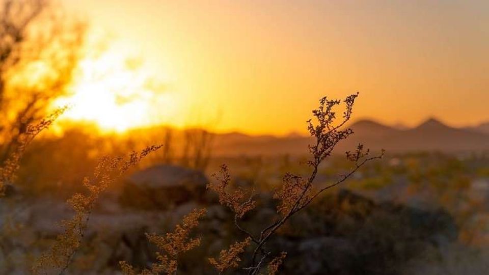 ما هي البلدان الأكثر سخونة على وجه الأرض؟