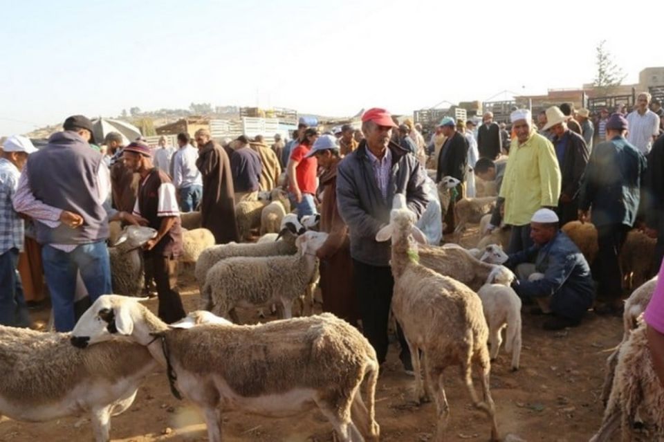 تراجع عدد الأضاحي يخيّب آمال الفقراء