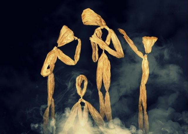 الانطباع العام للحضور تركَّز على المشاهد التي اعتمدت على التحريك الجماعي للدمى بحرفية عالية في عددٍ من لوحات العمل