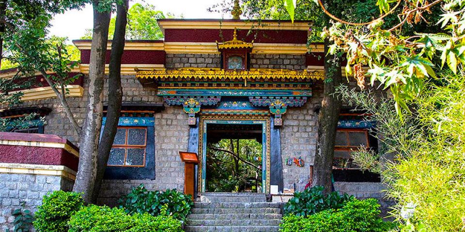 أخبار ثقافية