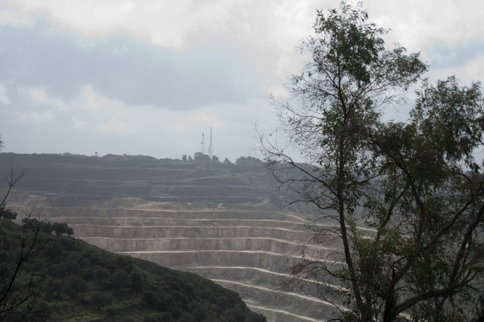 أشجار الساحل السوري فلاتر للمعادن الثقيلة!