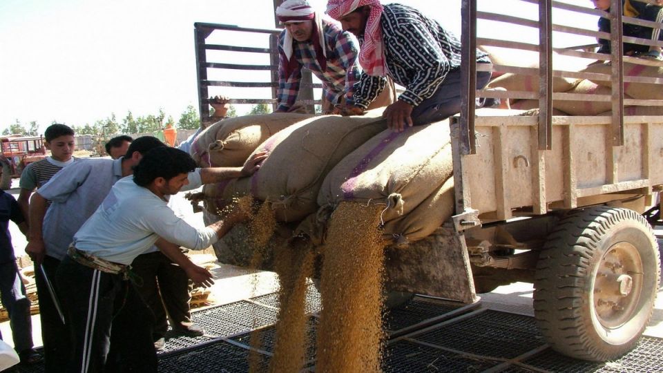 هل يربح مستورد القمح... أكثر من 90 مليار ليرة في سنتين؟!