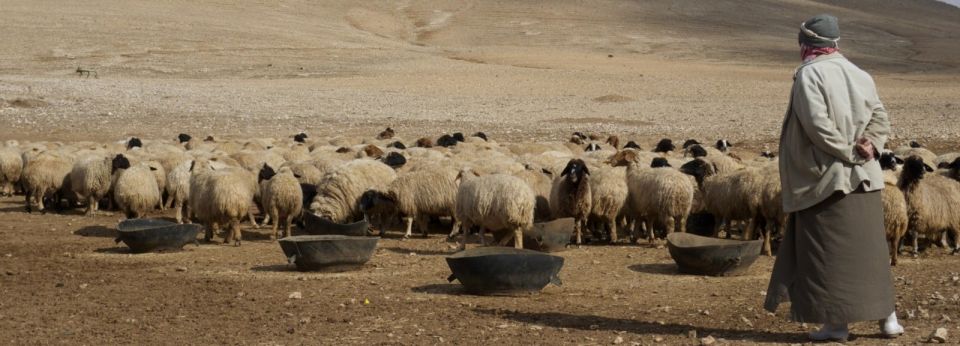 الزراعة السورية بعد ست سنوات..  وخسارة 16 مليار دولار!