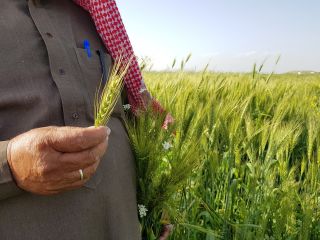 عثرات حكومية تنذر بكارثة غذائية