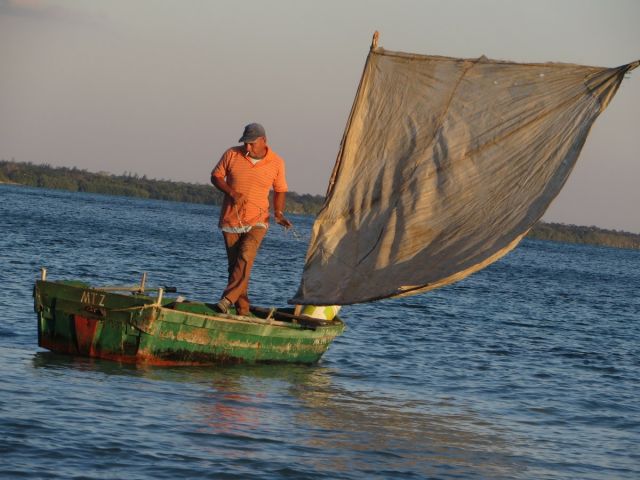 كيف صنعت كوبا همنغواي؟