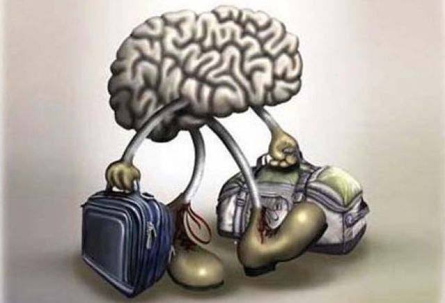 هجرة الكفاءات.. مؤشر فشل سياسات التنمية