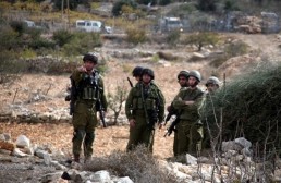 سلطات الاحتلال تقوم بأكبر عملية توسع استيطاني في فلسطين المحتلة