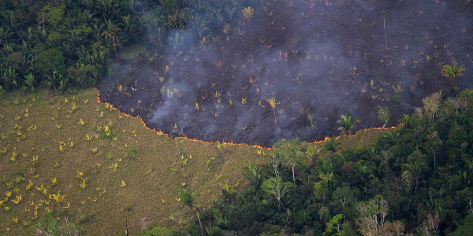 الأمازون... «سياسة إشعال الحرائق» حرفياً