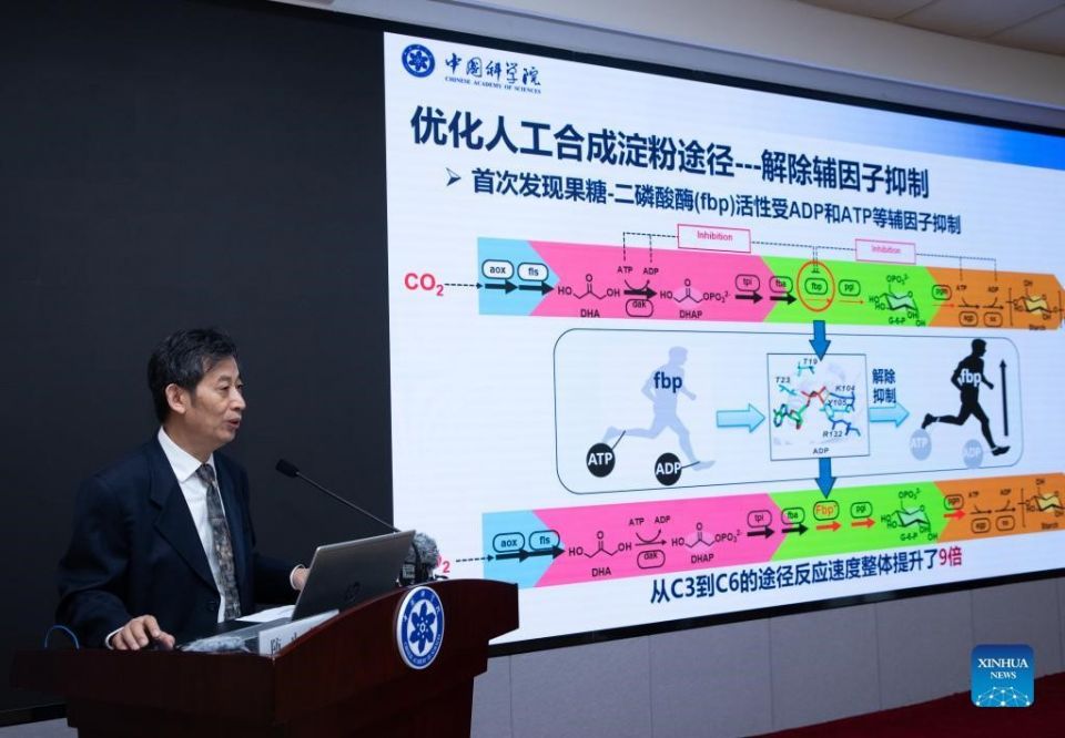 علماء الصين ينجحون بتحويل CO2 إلى نشاء دون تركيب ضوئي