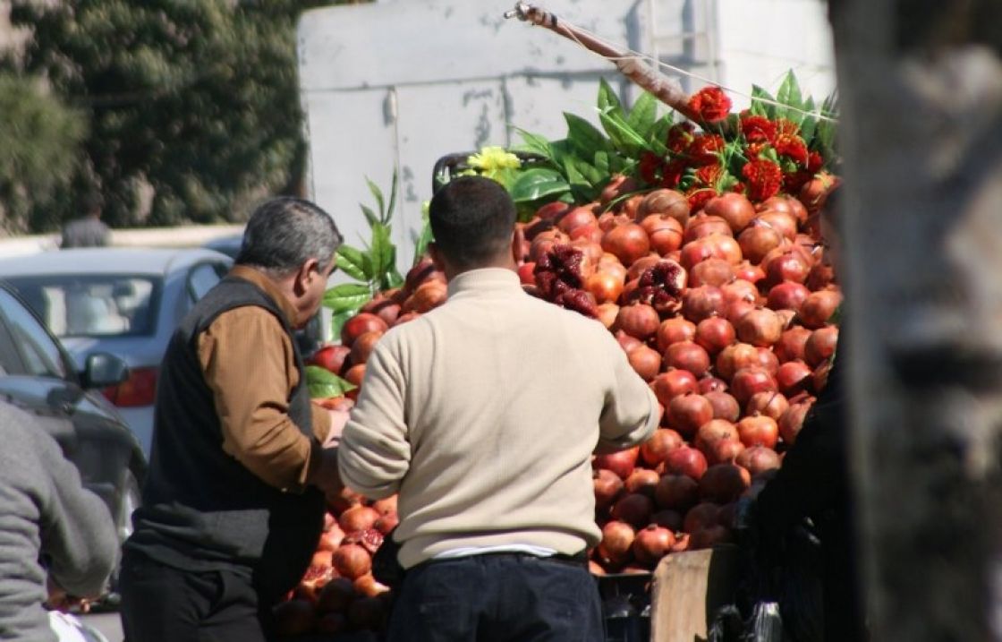 قشر الرمان مضاد حيوي للجراثيم القولونية المعندة