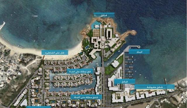 معاون وزير: وتجربة المجرب