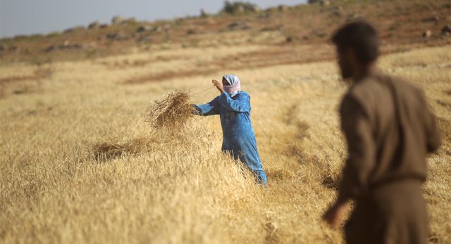 سابقة حكومية.. &laquo;الدعم&raquo; مساعدة فقط..