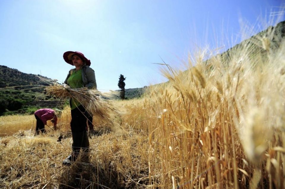 السويداء.. المرأة العاملة بأيّة حال؟!