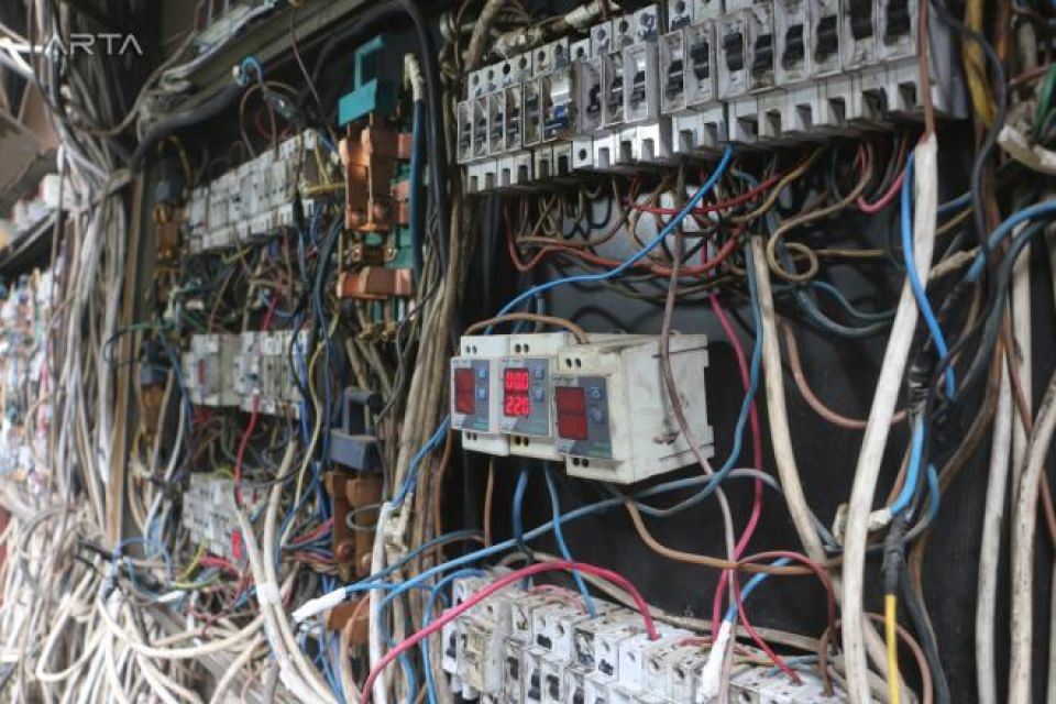 شريحة حيتان جديدة خارج التنظيم والقوننة