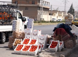 في جرمانا: أيهما أسوء &laquo;البسطات&raquo; أم &laquo;الكازينوهات&raquo;؟