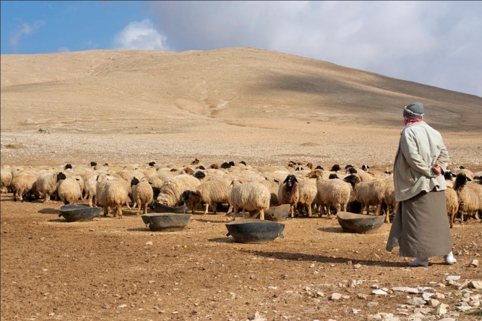 الجفاف والاستفاقة الحكومية الخلبية