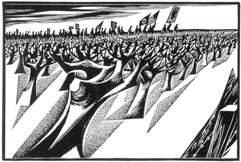 العدالة الاجتماعية والدواء السحري للعنف