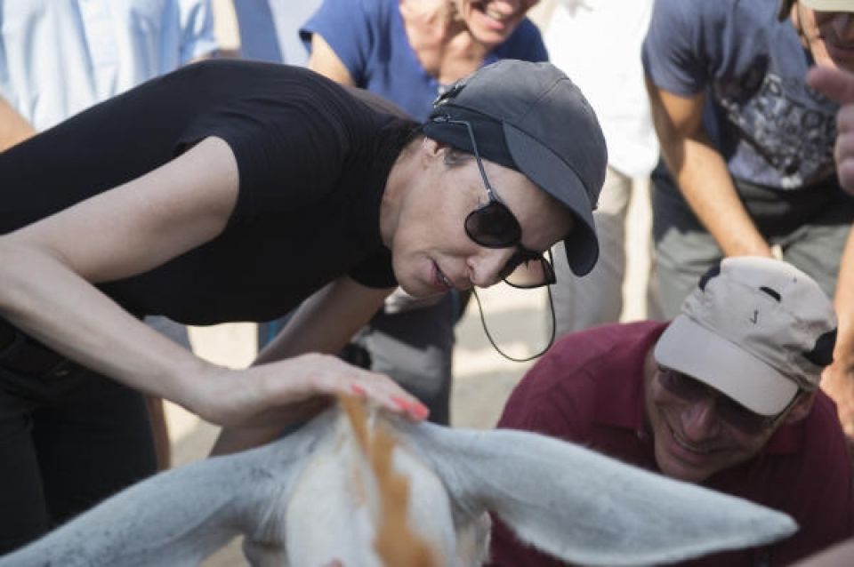 (أبو صابر) سائحٌ في أوروبا