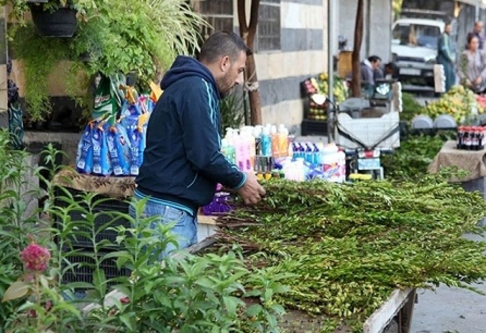 بين السيرقوني والسيكلما &laquo;بطول الشاهدة يا آس&raquo;