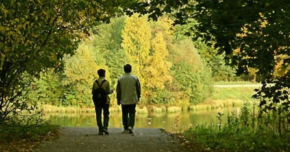 اقتباسات : حوار ثقافي ريفي للغاية