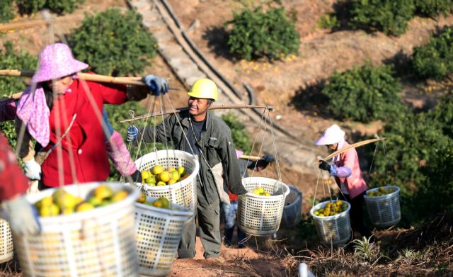 الصين ستنتصر قريباً في المعركة ضد الفقر!