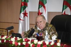 مسؤولون جزائريون: الحرائق في البلاد مؤامرة خلفها إرهاب مدعوم من المغرب و"إسرائيل"