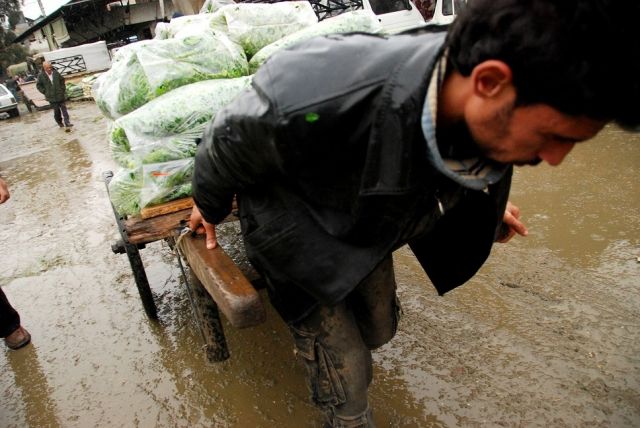 مهنة ثقيلة وأجساد هزيلة