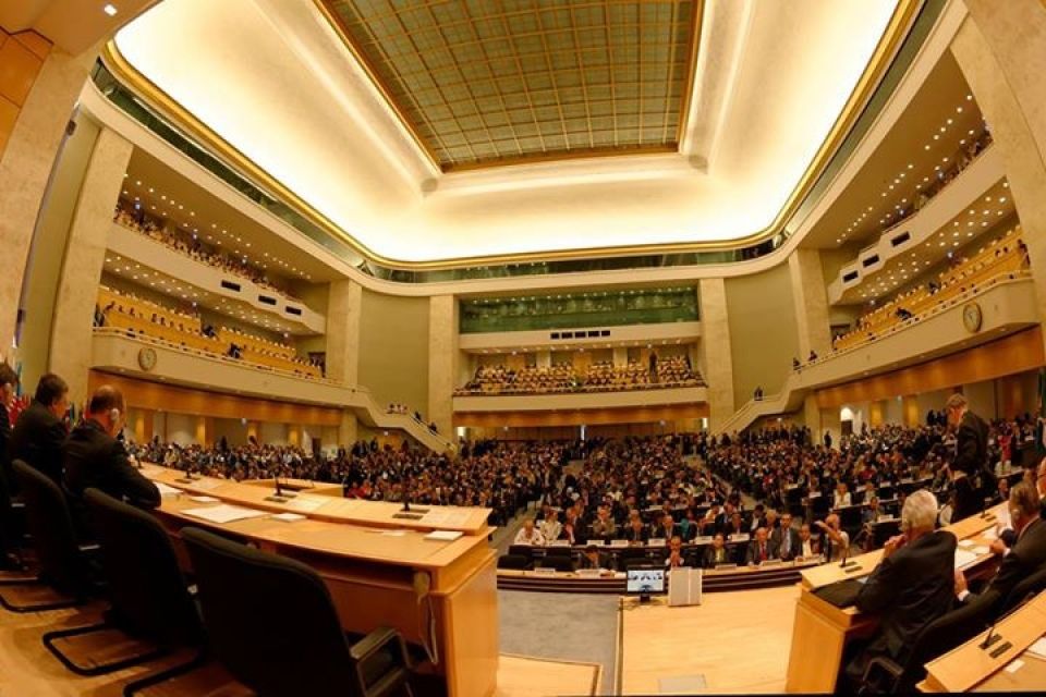 منظمة العمل الدولية وحمايتها للعمال