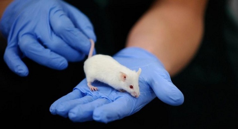 دراسة: اكتشاف صيغة لإطالة العمر