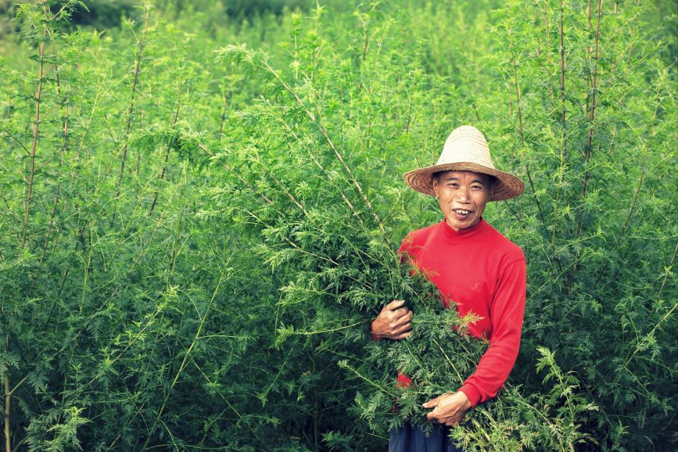 نظرة صينية| الطبقة العاملة وسلطتها في الصين الماويّة