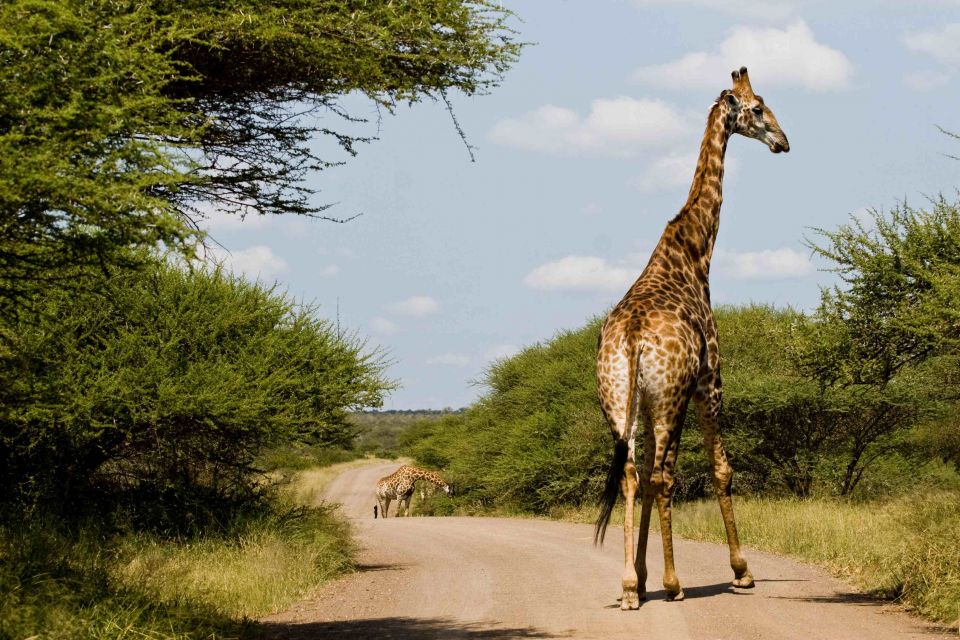 التنوع البيولوجي والتلوث