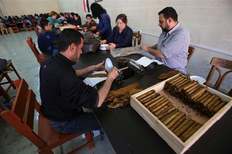 السيجار السوري يشق طريقه نحو العالمية