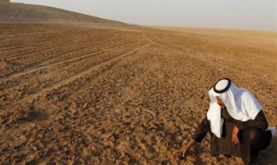 دعم المواد الغذائية المباشر.. نواة دعم حقيقي مشوّهة