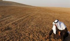 دعم المواد الغذائية المباشر.. نواة دعم حقيقي مشوّهة