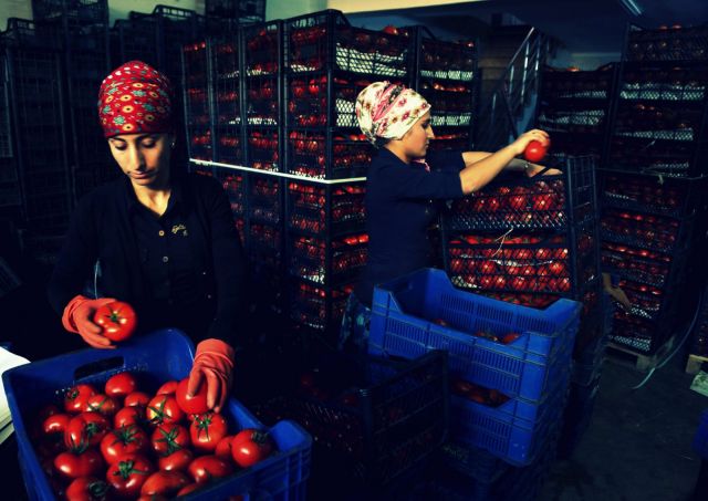 فتح السوق الروسية أمام الطمام التركية يعد مسألة مهمة لأنقرة
