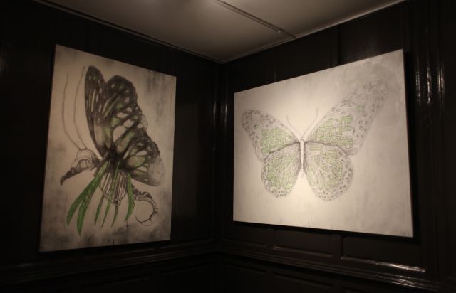 أثر الفراشة.. الضرورة والمصادفة والحرية (الحلقة الأولى)