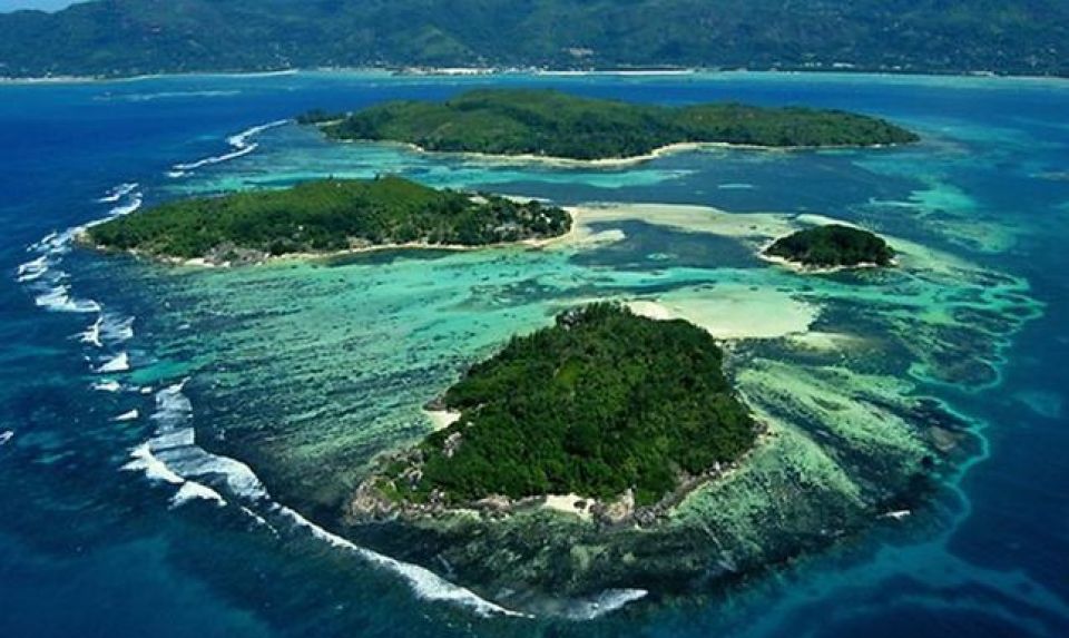 أخبار العلم